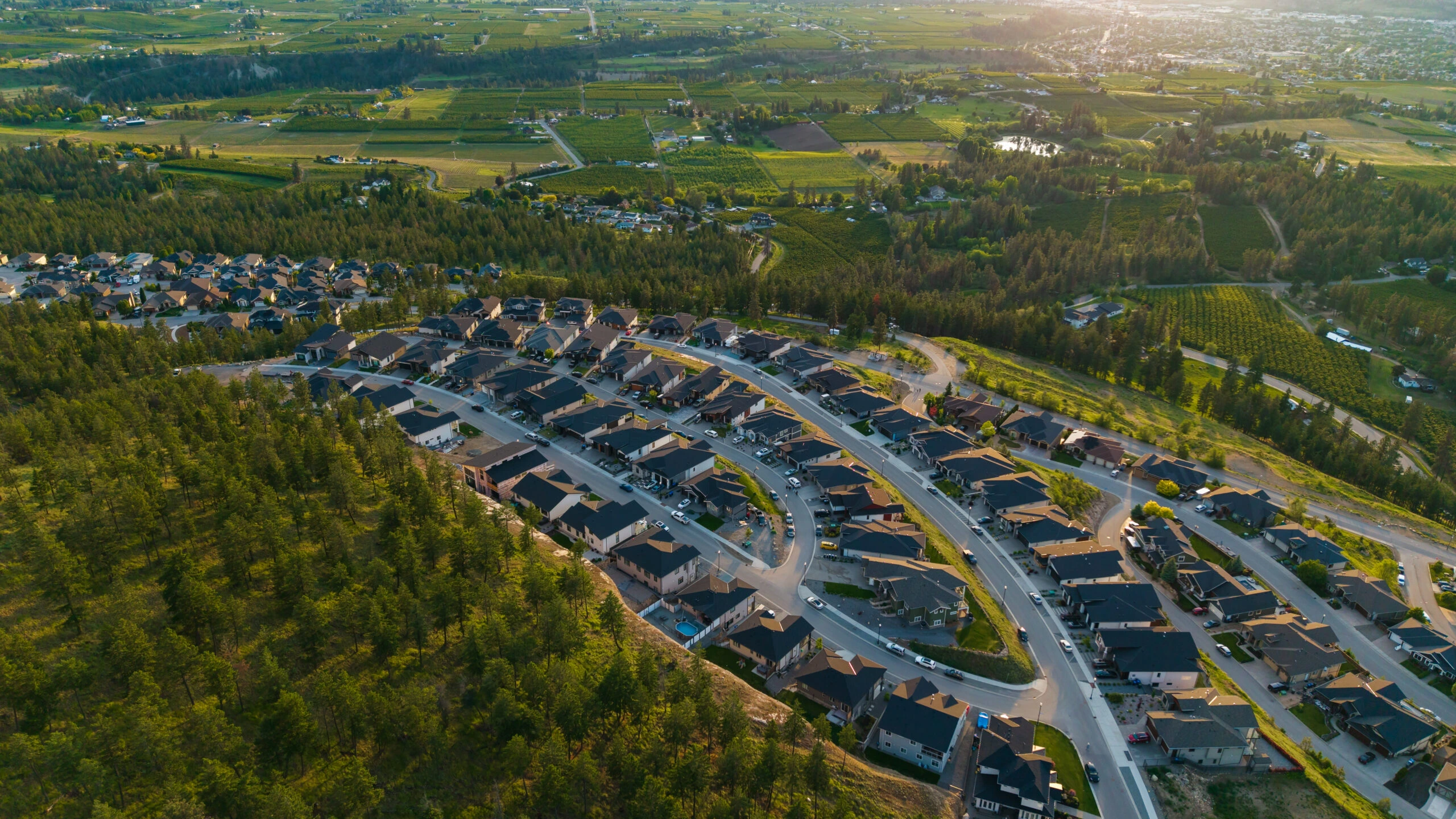 Aerial view of a hillside subdivision beside forest, overlooking Okanagan Valley orchards and farmland in warm evening light.