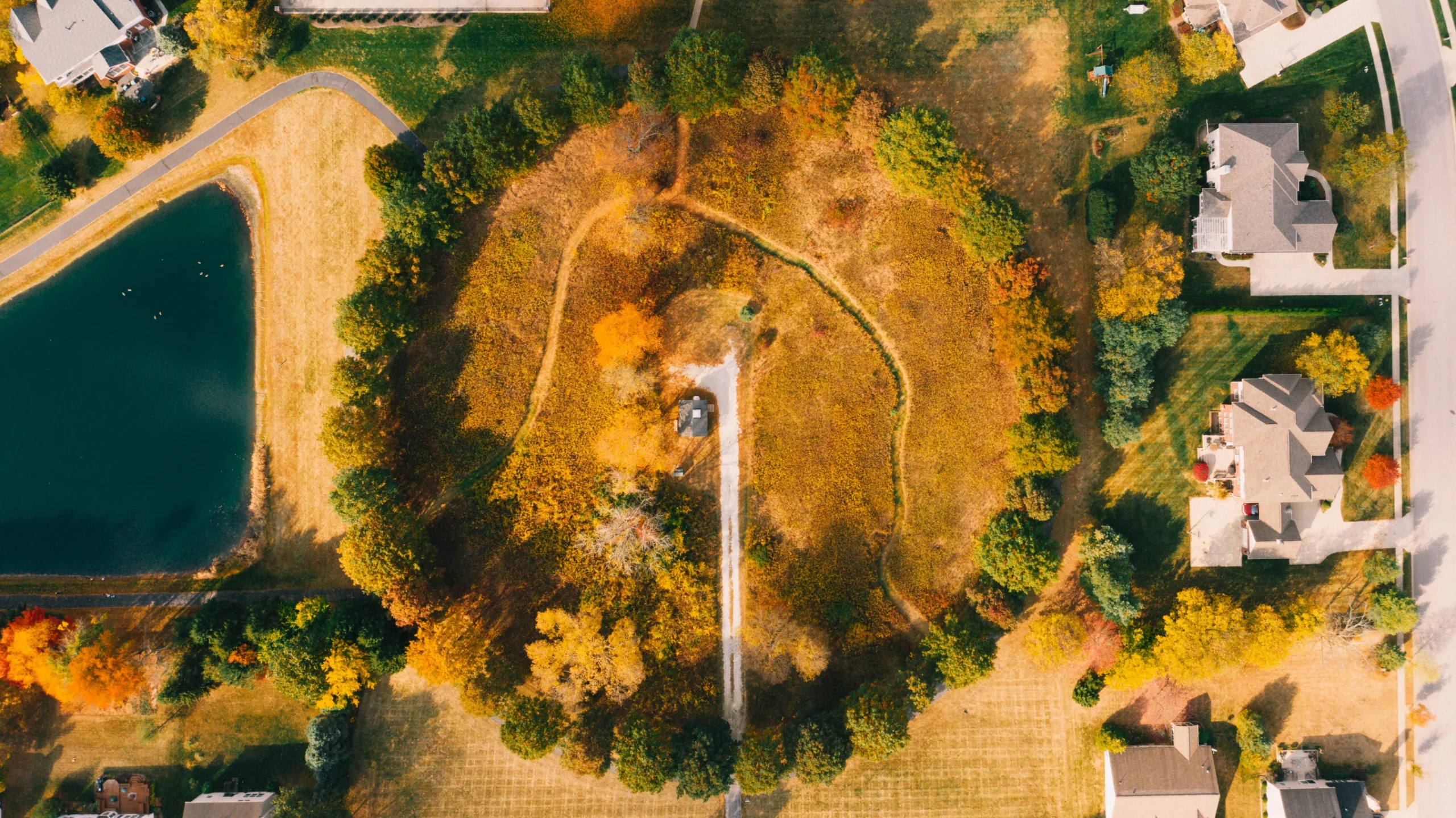 An aerial drone view of a circular, tree-lined meadow with autumn colors next to a pond and residential homes.